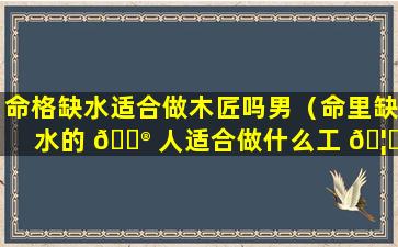 命格缺水适合做木匠吗男（命里缺水的 💮 人适合做什么工 🦟 作）